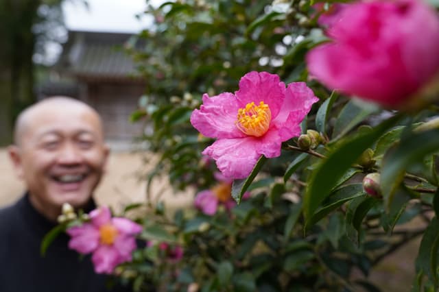 西方寺 さざんか祭り