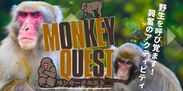 Tambasasayama Wildlife Program: Monkey Quest