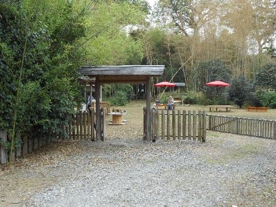 Relax and Unwind in a Bamboo Forest!