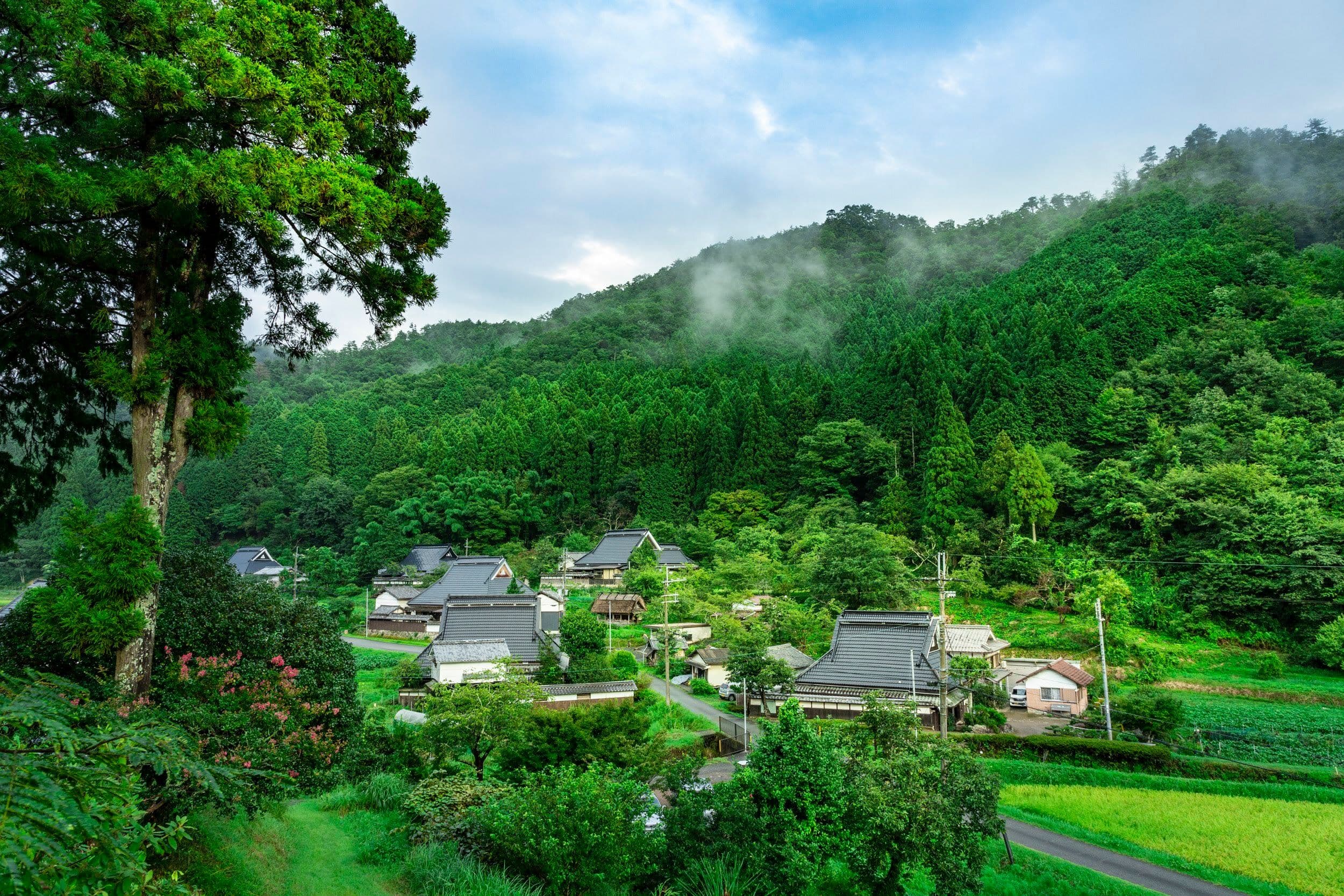 Main Satoyama Living 2024 - Phase 2: "Living to Protect the Village"
