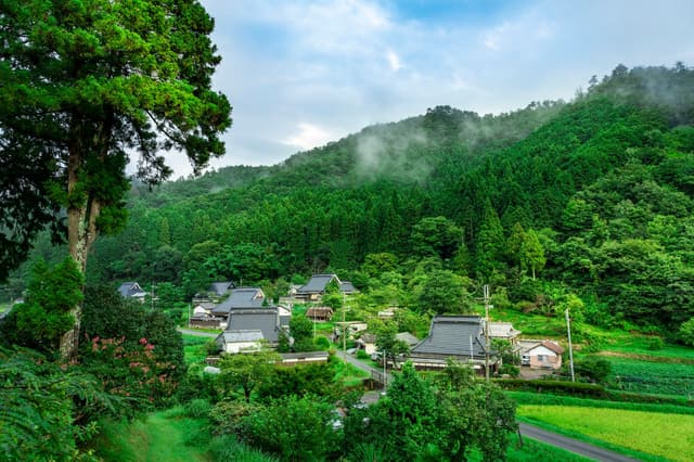 Main Satoyama Living 2024 - Phase 2: "Living to Protect the Village"