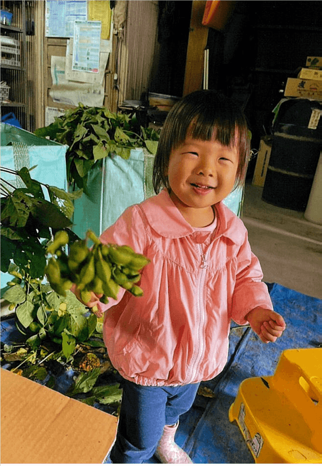 展示物見学と豆枝豆収穫体験