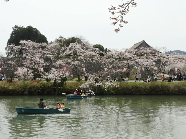 丹波篠山さくらまつり