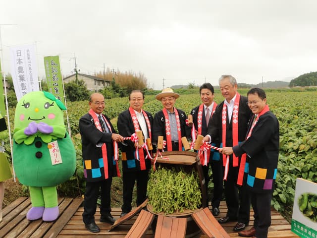 黒大豆解禁イベント