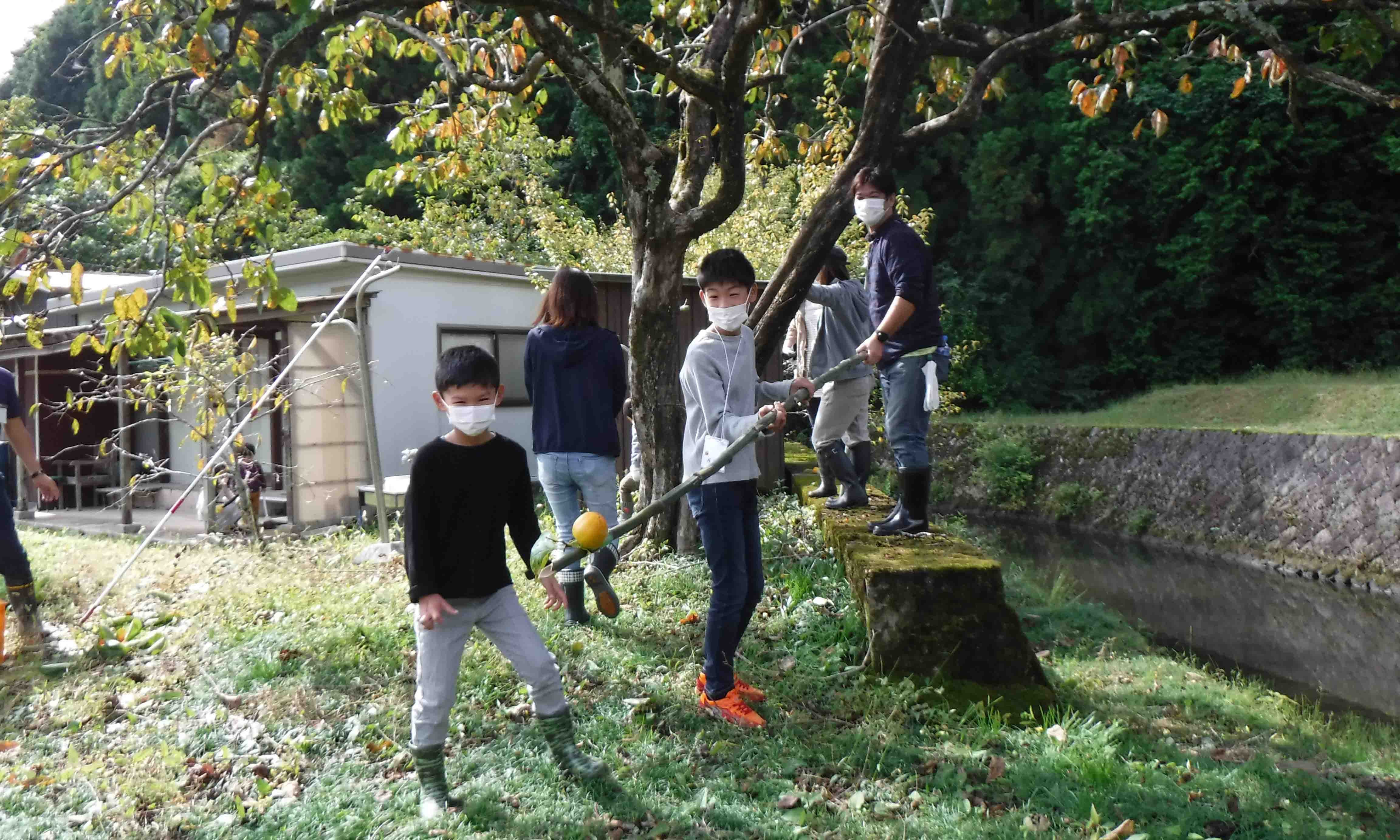 さる×はた合戦