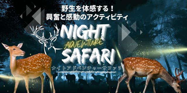 丹波篠山ワイルドライフプログラム：ナイトアドベンチャーサファリ