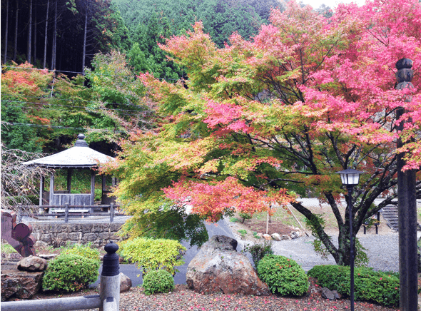 Kouzouji Momiji Festival