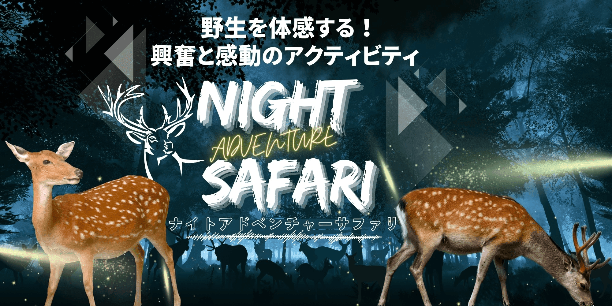 丹波篠山ワイルドライフプログラム：ナイトアドベンチャーサファリ