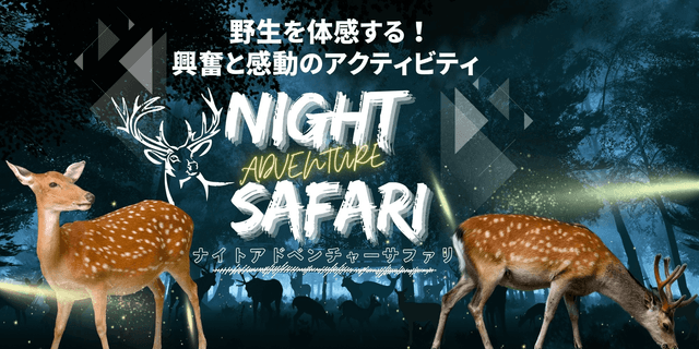 Tambasasayama Wildlife Program: Night Adventure Safari