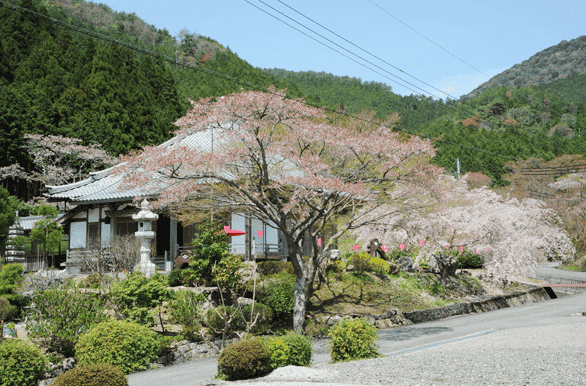 kouzouji Cherry Blossom Festival