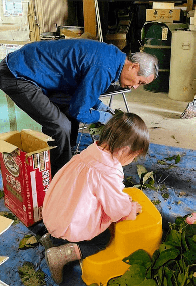 Exhibit Tour and Edamame Harvesting Experience
