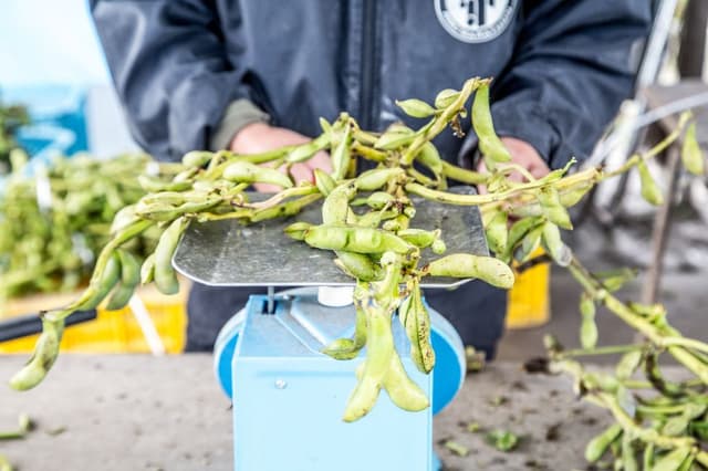 第24回 みたけの里 文化の祭典と収穫感謝祭