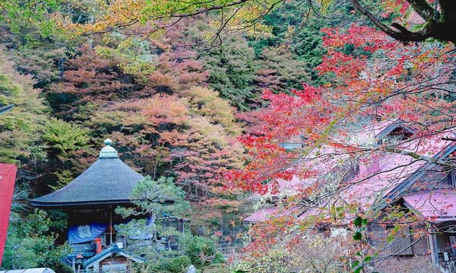 龍蔵寺