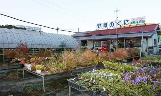 伴園芸