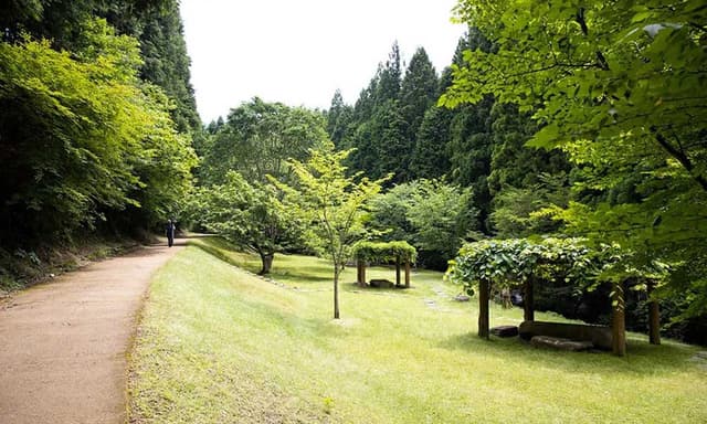 兵庫県立ささやまの森公園