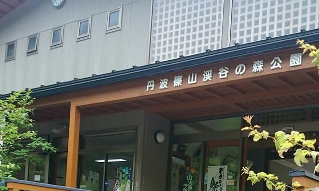 丹波篠山 渓谷の森公園